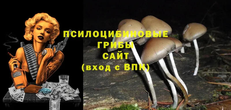 Галлюциногенные грибы Magic Shrooms  Боровск 